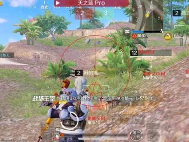 老表和平精英科技