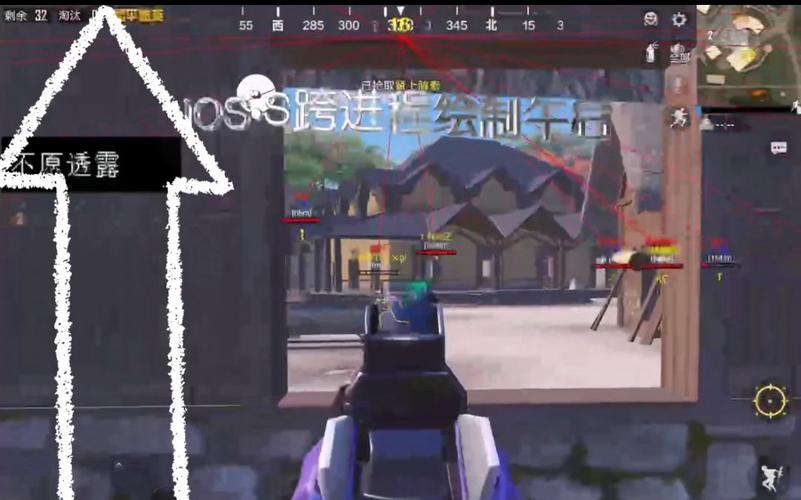 和平 精英透视